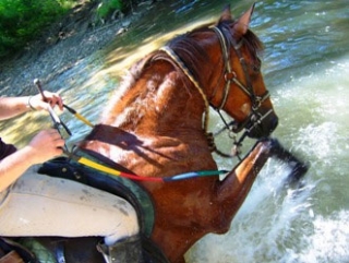 Randonnee equestre Montaut